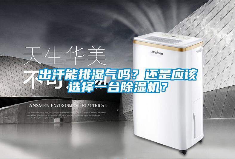 出汗能排濕氣嗎？還是應(yīng)該選擇一臺除濕機(jī)？