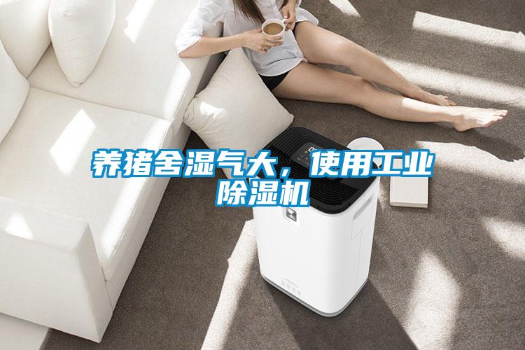 養(yǎng)豬舍濕氣大，使用工業(yè)除濕機
