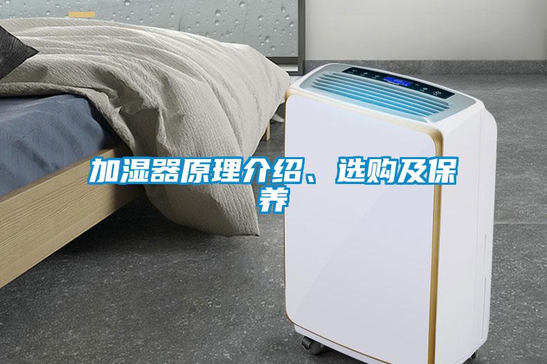 加濕器原理介紹、選購及保養(yǎng)