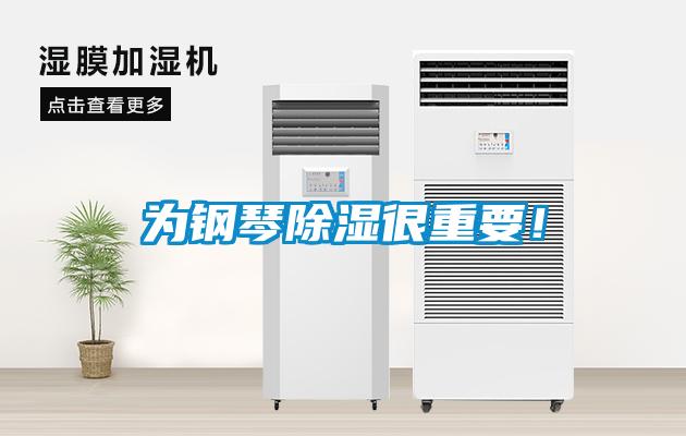 為鋼琴除濕很重要！