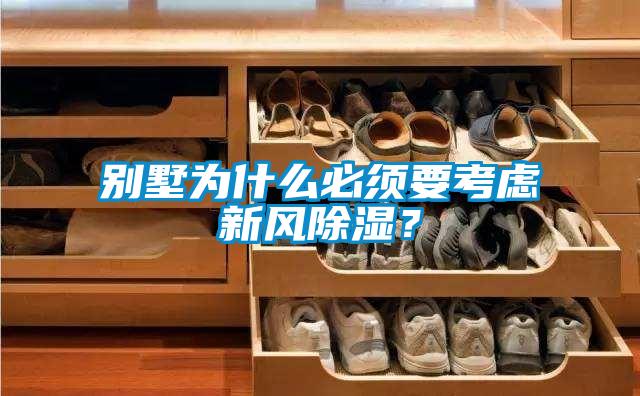 別墅為什么必須要考慮新風(fēng)除濕？