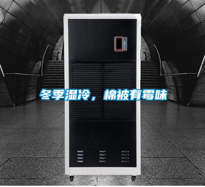 冬季濕冷，棉被有霉味