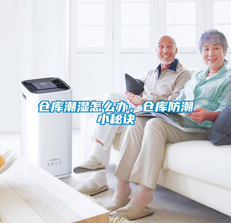 倉(cāng)庫(kù)潮濕怎么辦，倉(cāng)庫(kù)防潮小秘訣