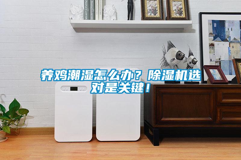 養(yǎng)雞潮濕怎么辦？除濕機(jī)選對(duì)是關(guān)鍵！