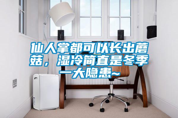 仙人掌都可以長(zhǎng)出蘑菇，濕冷簡(jiǎn)直是冬季一大隱患~