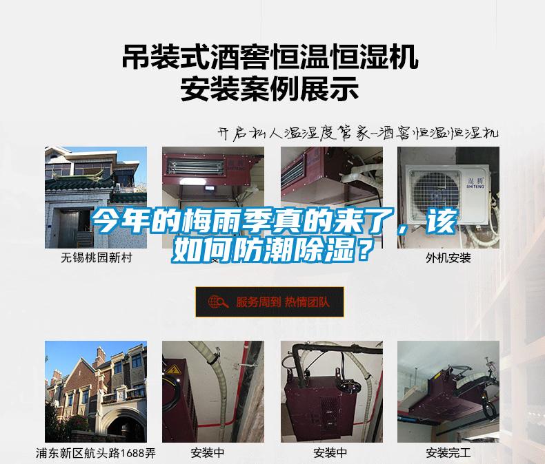 今年的梅雨季真的來了，該如何防潮除濕？