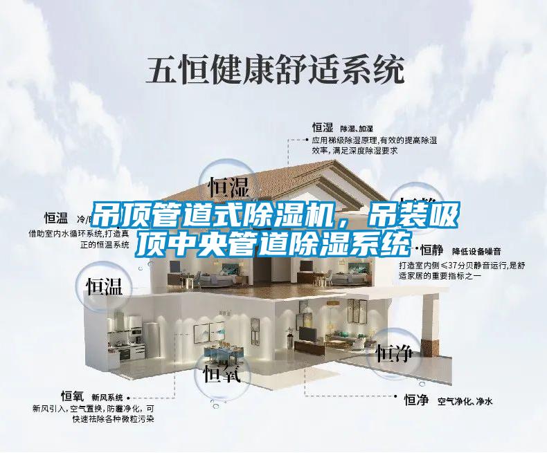 吊頂管道式除濕機，吊裝吸頂中央管道除濕系統(tǒng)
