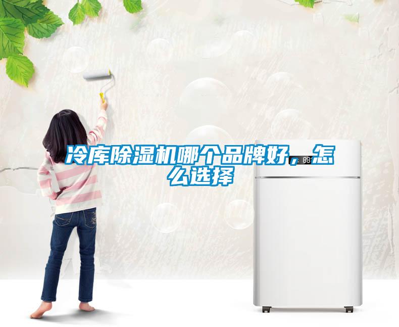 冷庫(kù)除濕機(jī)哪個(gè)品牌好，怎么選擇
