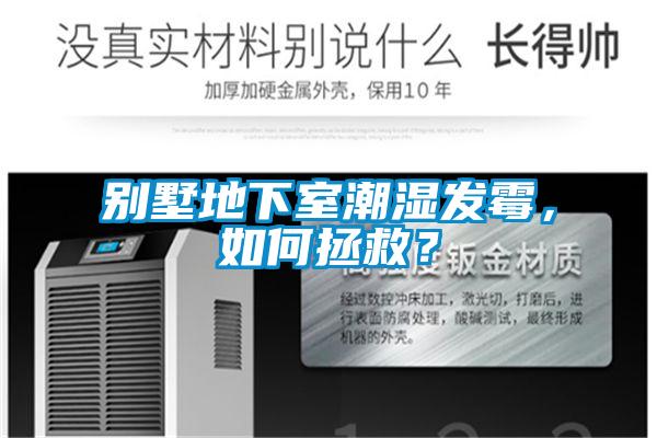 別墅地下室潮濕發(fā)霉，如何拯救？