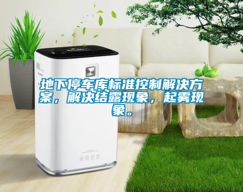 地下停車庫標(biāo)準(zhǔn)控制解決方案，解決結(jié)露現(xiàn)象，起霧現(xiàn)象。