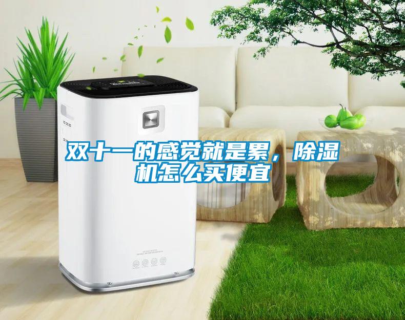 雙十一的感覺(jué)就是累，除濕機(jī)怎么買便宜