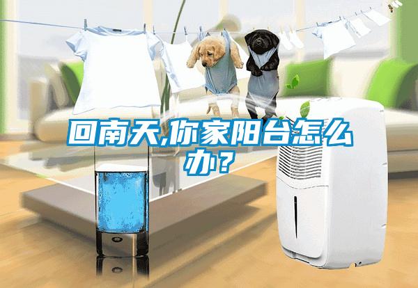 回南天,你家陽臺怎么辦？