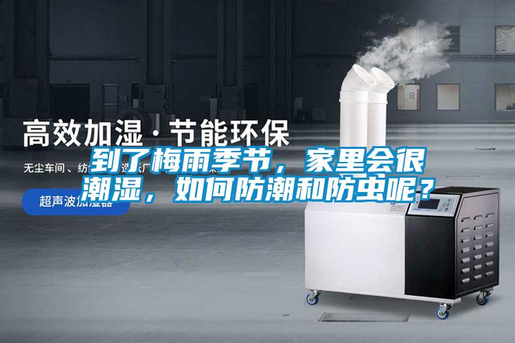 到了梅雨季節(jié)，家里會很潮濕，如何防潮和防蟲呢？