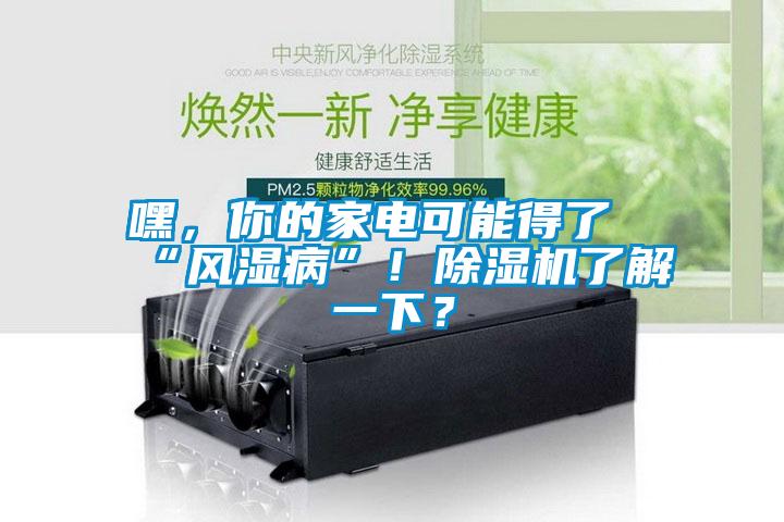 嘿，你的家電可能得了“風(fēng)濕病”！除濕機(jī)了解一下？