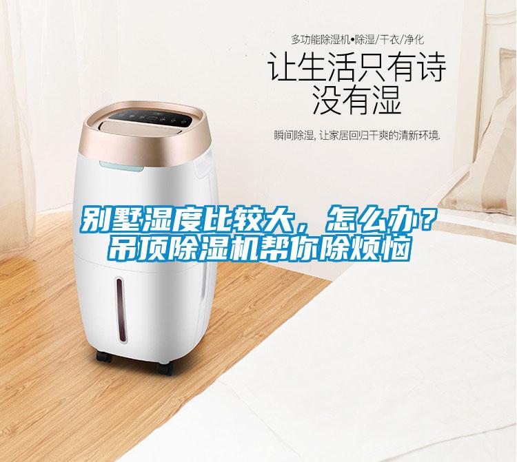 別墅濕度比較大，怎么辦？吊頂除濕機(jī)幫你除煩惱
