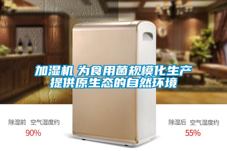 加濕機(jī) 為食用菌規(guī)模化生產(chǎn)提供原生態(tài)的自然環(huán)境