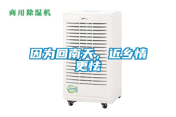 因?yàn)榛啬咸?，近鄉(xiāng)情更怯