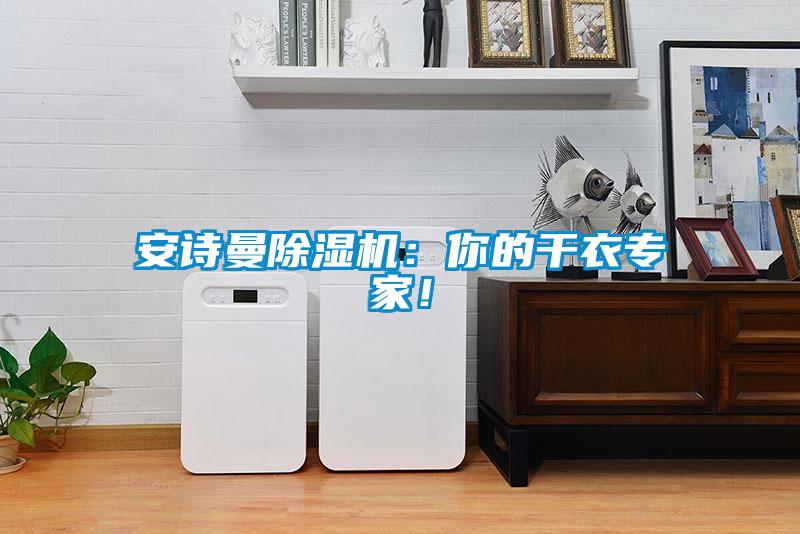 安詩曼除濕機(jī)：你的干衣專家！