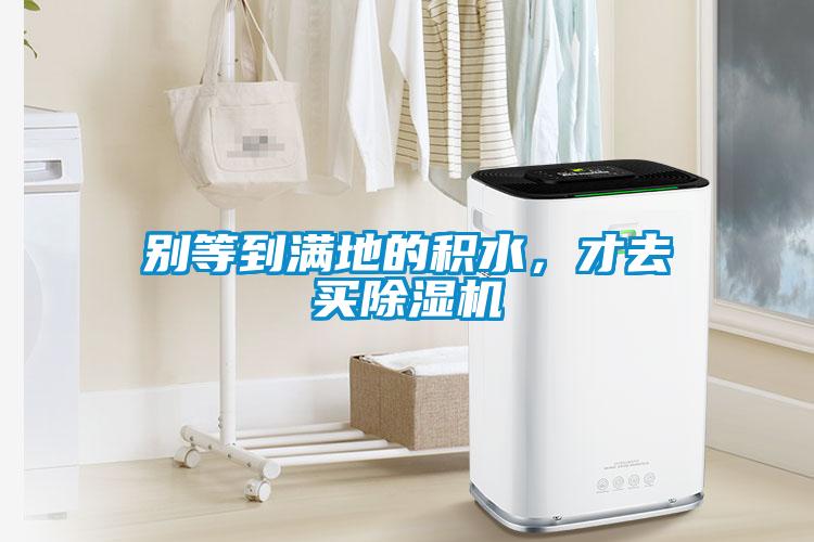 別等到滿地的積水，才去買除濕機