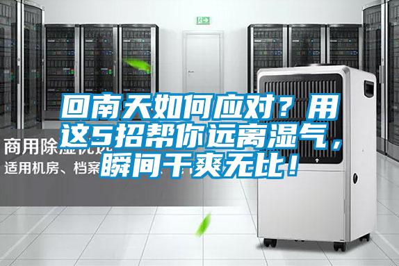 回南天如何應(yīng)對？用這5招幫你遠離濕氣，瞬間干爽無比！