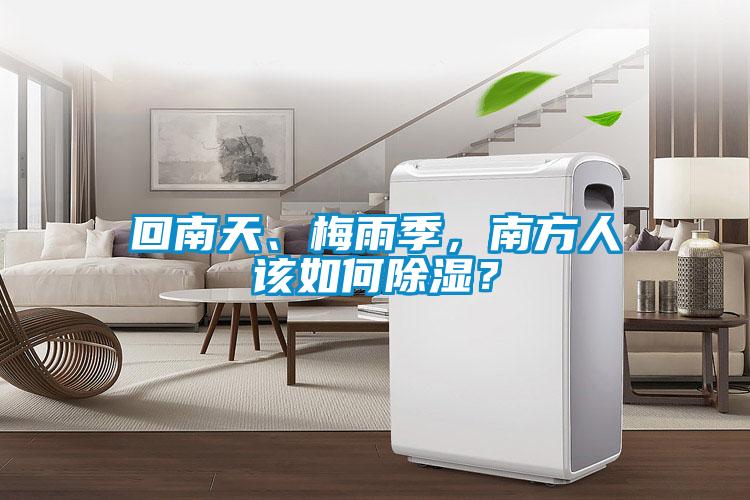 回南天、梅雨季，南方人該如何除濕？
