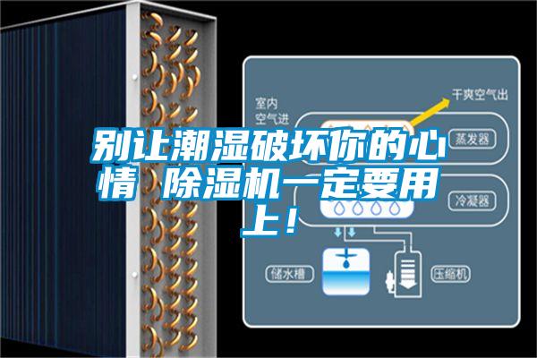 別讓潮濕破壞你的心情 除濕機(jī)一定要用上！