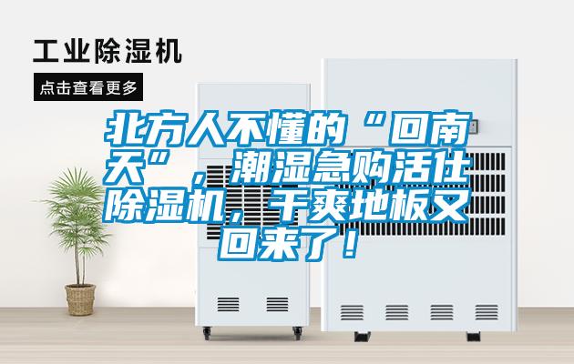 北方人不懂的“回南天”，潮濕急購活仕除濕機，干爽地板又回來了！