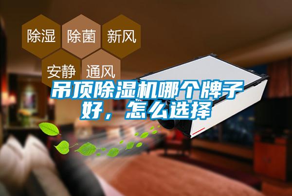 吊頂除濕機(jī)哪個(gè)牌子好，怎么選擇