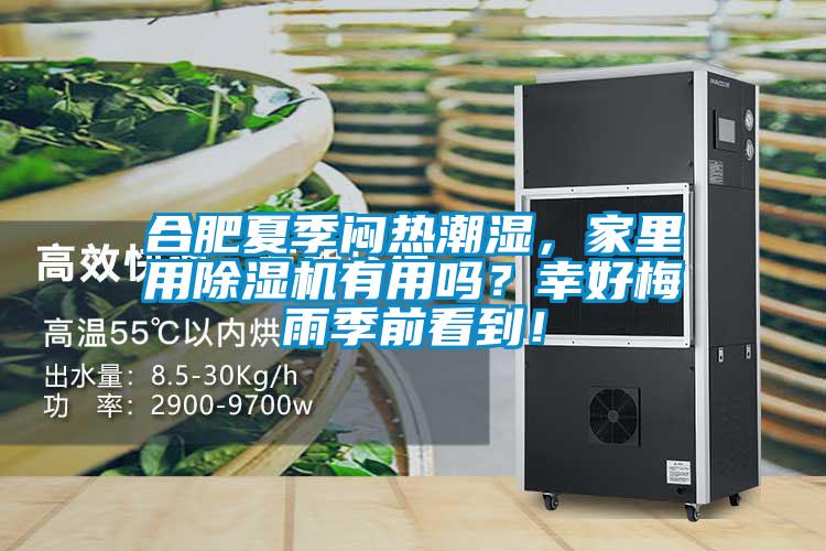 合肥夏季悶熱潮濕，家里用除濕機有用嗎？幸好梅雨季前看到！