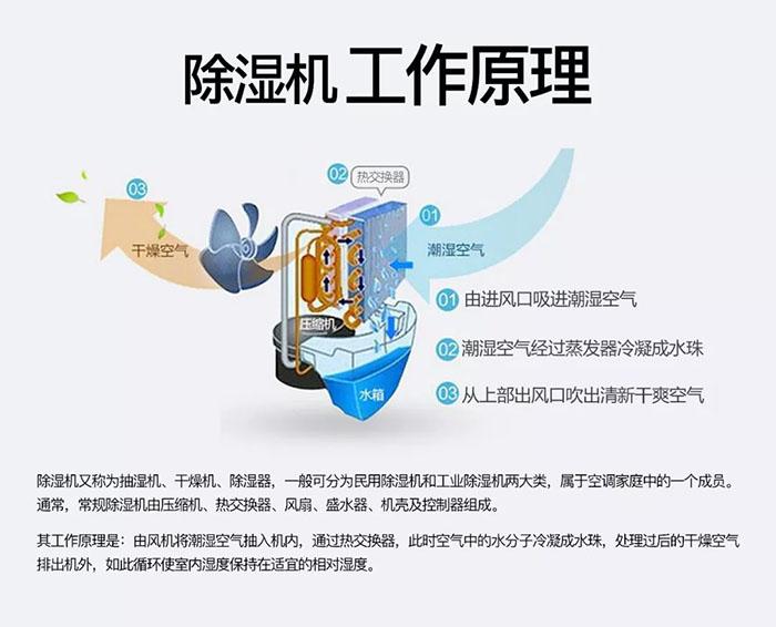 南有“濕冷”北有“霧霾”該咋辦？