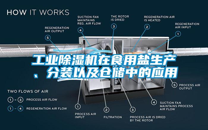 工業(yè)除濕機在食用鹽生產(chǎn)、分裝以及倉儲中的應(yīng)用
