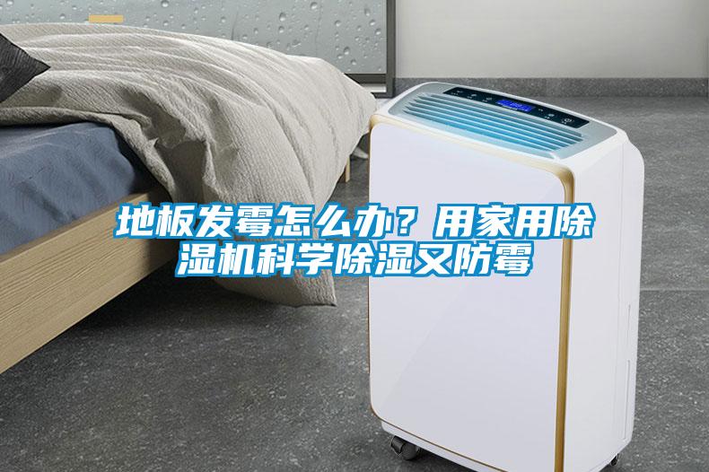 地板發(fā)霉怎么辦？用家用除濕機科學(xué)除濕又防霉