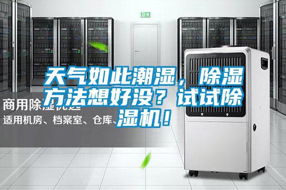 天氣如此潮濕，除濕方法想好沒？試試除濕機(jī)！