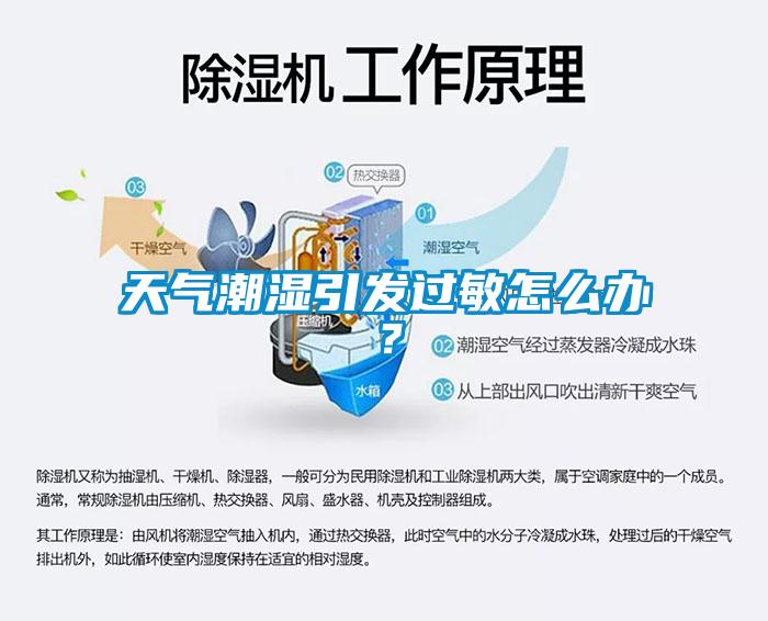天氣潮濕引發(fā)過敏怎么辦？