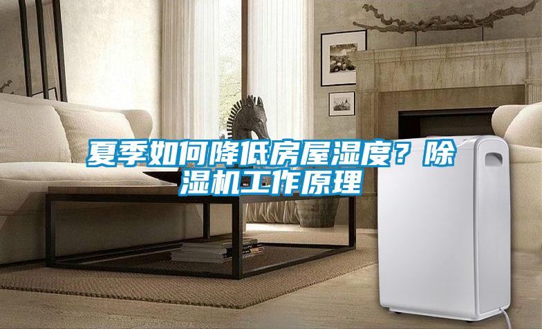 夏季如何降低房屋濕度？除濕機工作原理