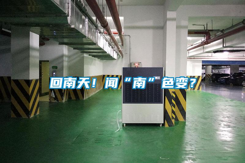 回南天！聞“南”色變？