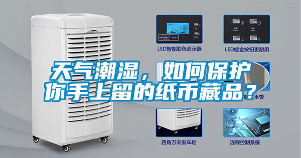 天氣潮濕，如何保護(hù)你手上留的紙幣藏品？