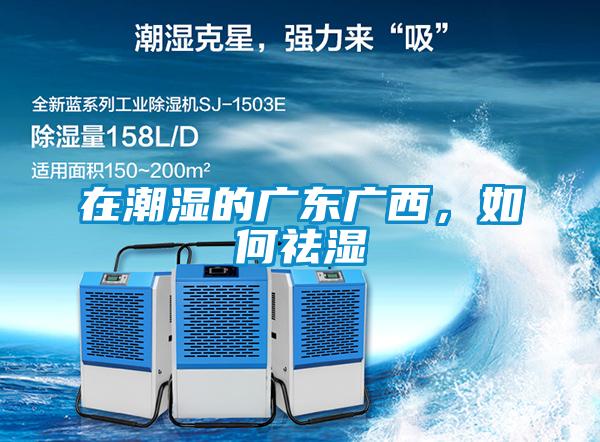 在潮濕的廣東廣西，如何祛濕