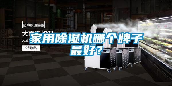 家用除濕機(jī)哪個(gè)牌子最好？