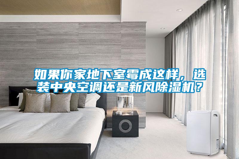 如果你家地下室霉成這樣，選裝中央空調(diào)還是新風(fēng)除濕機？