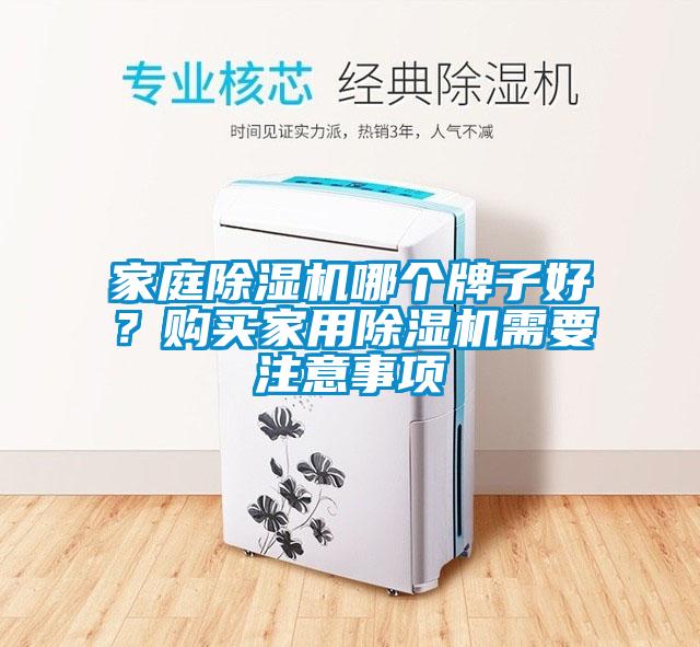 家庭除濕機(jī)哪個(gè)牌子好？購(gòu)買家用除濕機(jī)需要注意事項(xiàng)