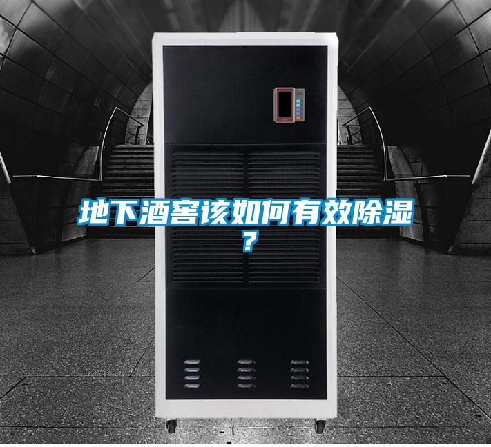 地下酒窖該如何有效除濕？