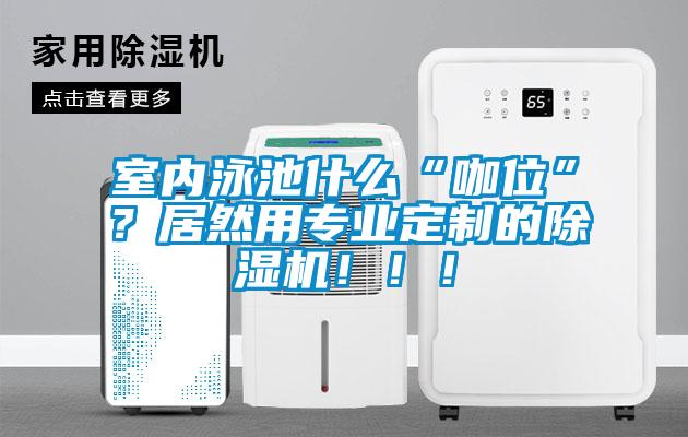 室內(nèi)泳池什么“咖位”？居然用專業(yè)定制的除濕機(jī)?。。?/></p>
						    <p style=