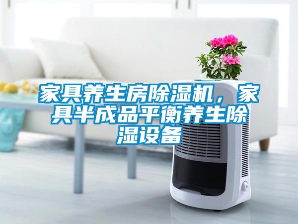 家具養(yǎng)生房除濕機(jī)，家具半成品平衡養(yǎng)生除濕設(shè)備