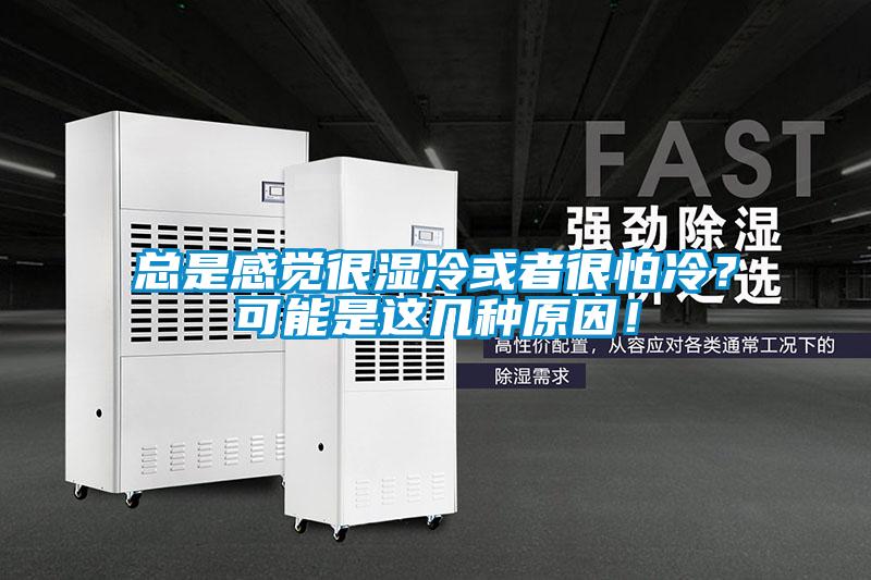 總是感覺很濕冷或者很怕冷？可能是這幾種原因！