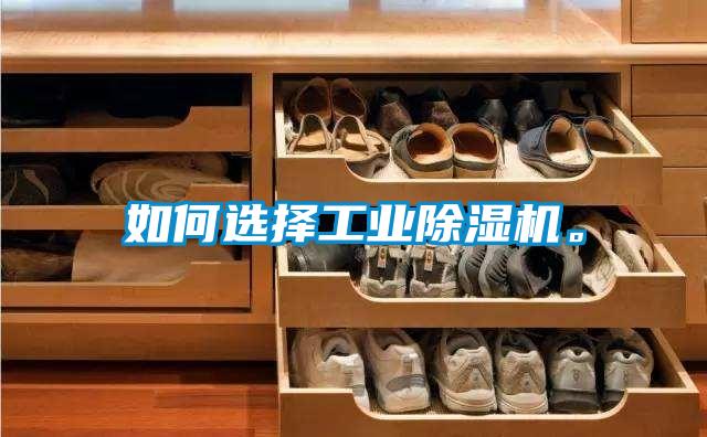 如何選擇工業(yè)除濕機。