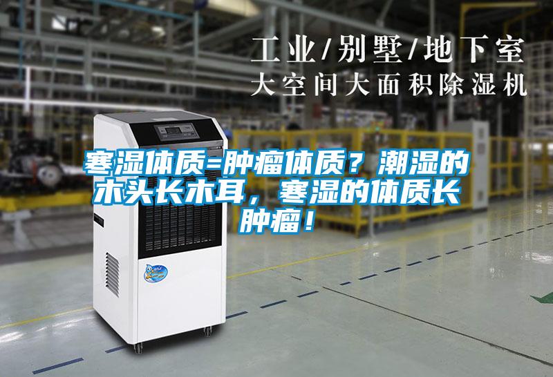 寒濕體質(zhì)=腫瘤體質(zhì)？潮濕的木頭長木耳，寒濕的體質(zhì)長腫瘤！