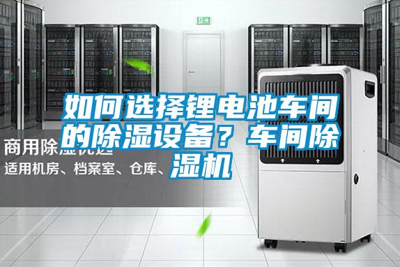 如何選擇鋰電池車(chē)間的除濕設(shè)備？車(chē)間除濕機(jī)
