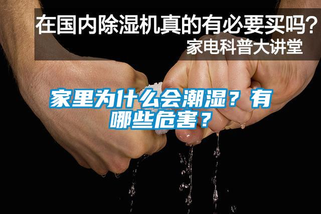 家里為什么會潮濕？有哪些危害？