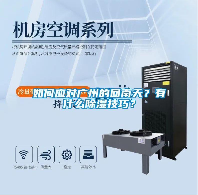 如何應(yīng)對廣州的回南天？有什么除濕技巧？